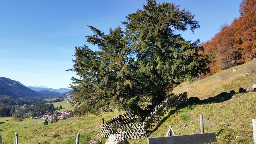 Gaestehaus Bergfrieden Bolsterlang Exteriör bild